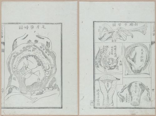 E419 - Japanese Medical - i20523-20522