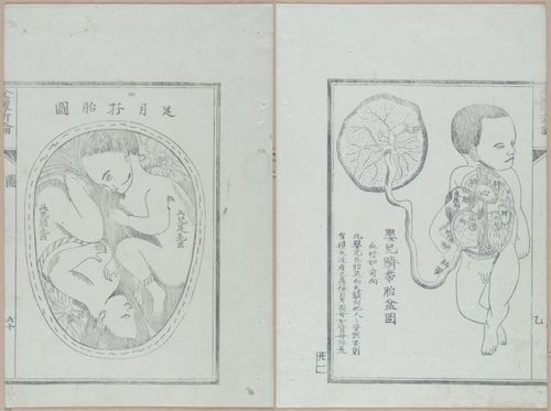 E419 - Japanese Medical - i20525-20524