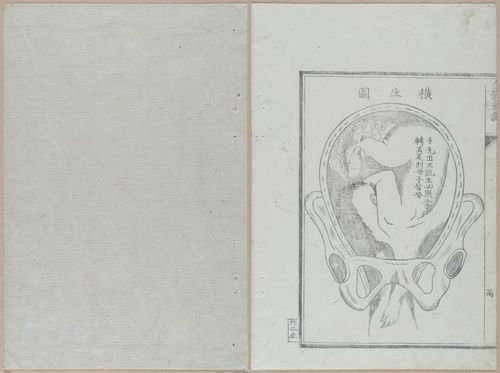 E419 - Japanese Medical - i20527-20526