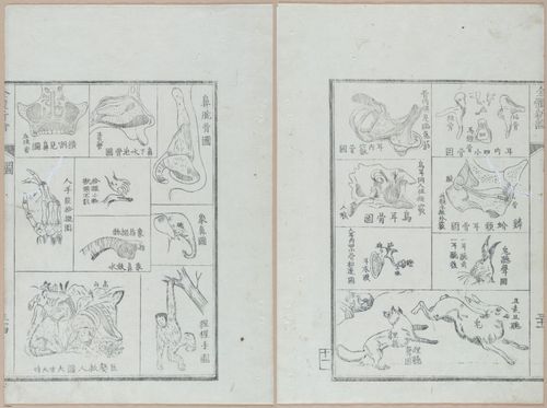 E419 - Japanese Medical - i20499-20504