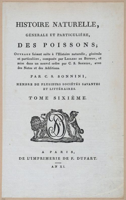 E427 - French Fish - i21154
