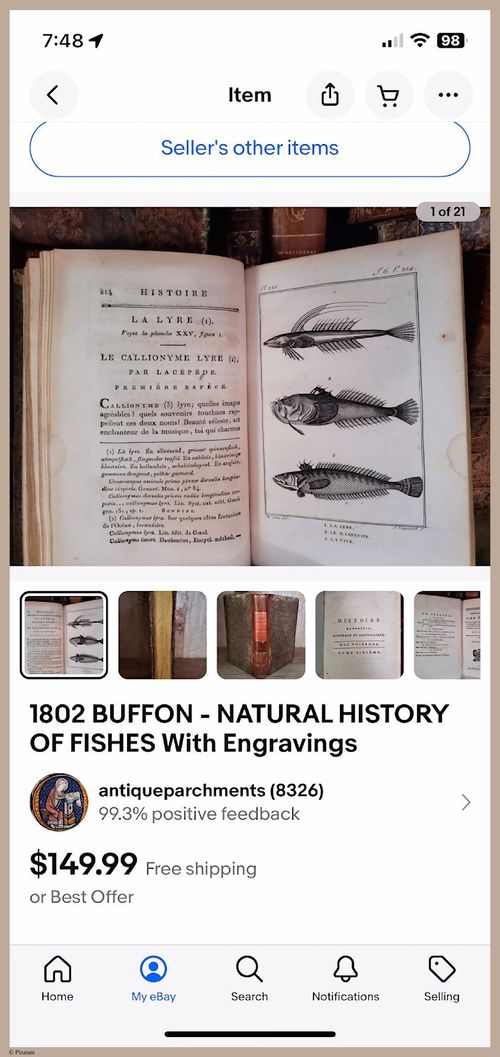E427 - French Fish - i8542