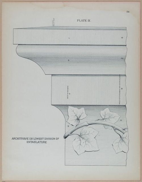 E428 - Arch Proportions - i20844