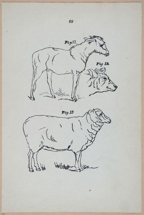 E426 - How to Paint - i21063