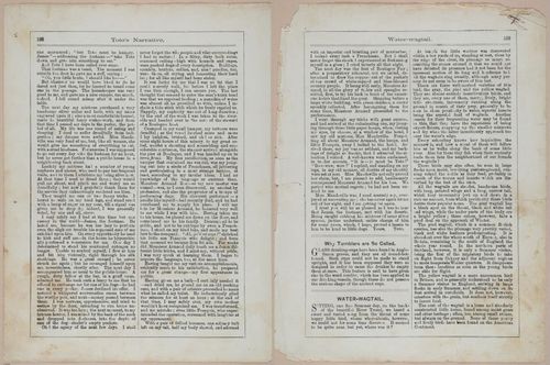 E442 - The Christmas Book - i22339-22340