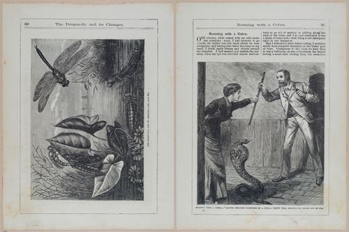E442 - The Christmas Book - i22422-22423