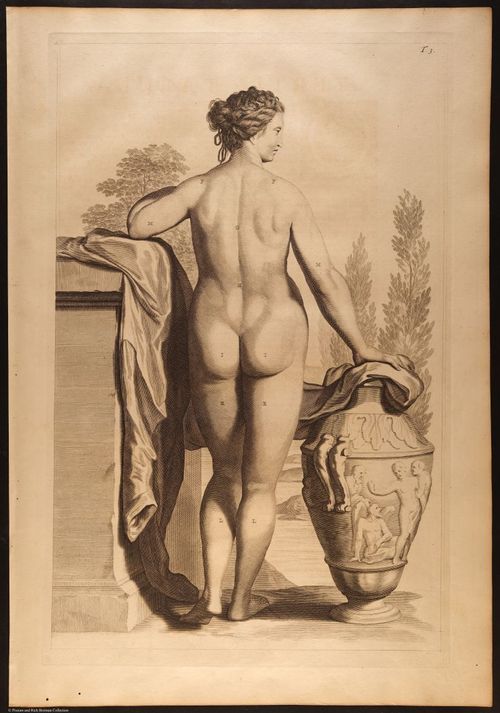 E466 - Anatomy Atlas - Cowper - i0572