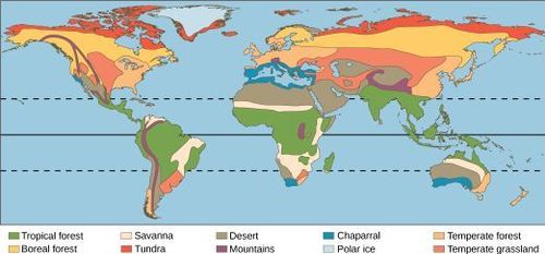 Nikhil DeNatale - Biomes Map