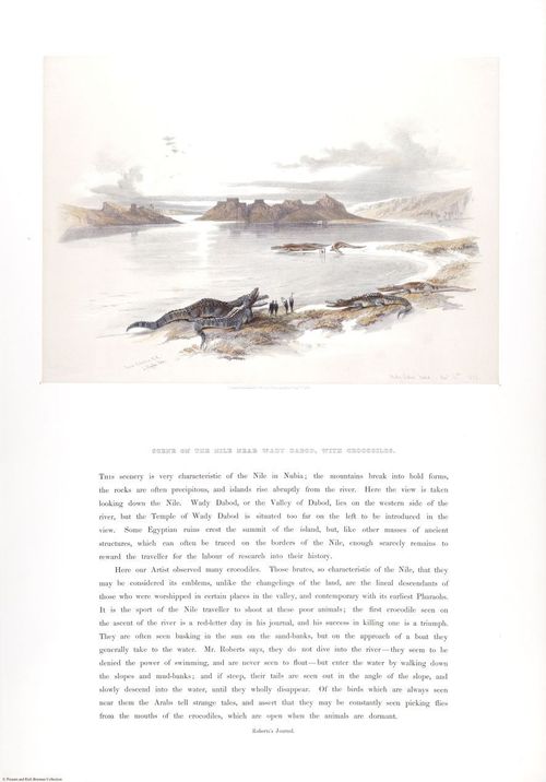 E464 - David Roberts - i0700197