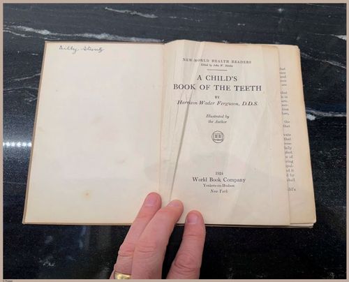 E475 - Teeth - i0037