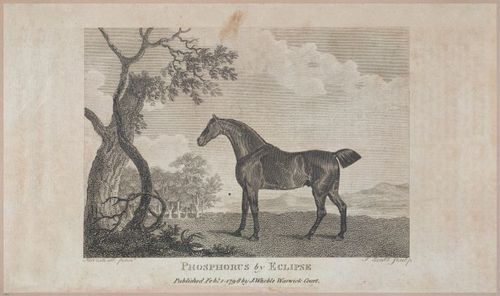 E476 - Sports Magazine - 1797 - 22639