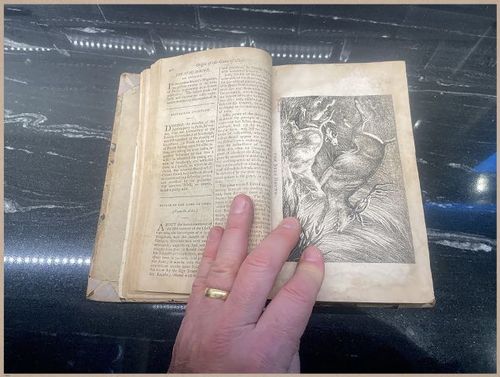 E476 - Sports Magazine - 1797 - 9112