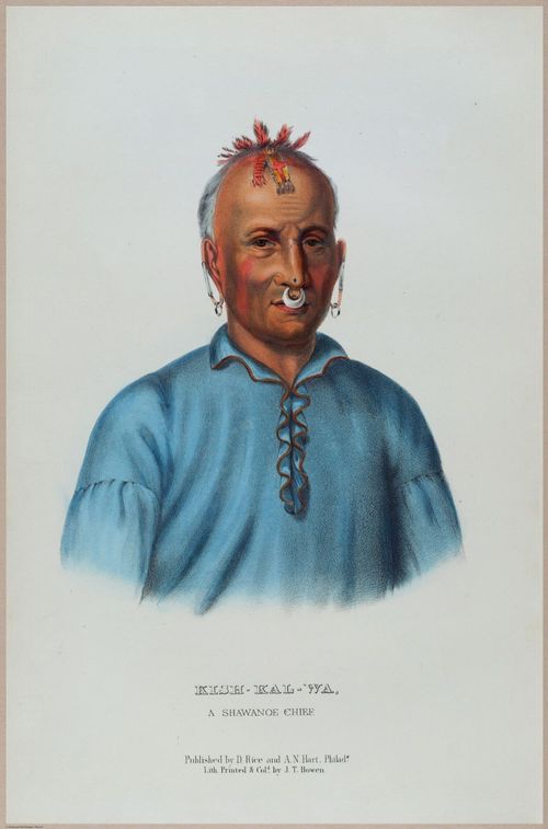 E495 - Native Americans - 22782