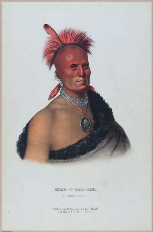 E495 - Native Americans - 22823
