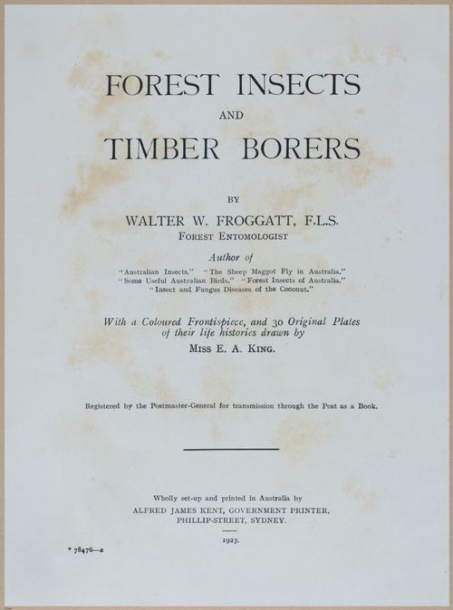 E499 - Forest Insects - 1927 - 20710