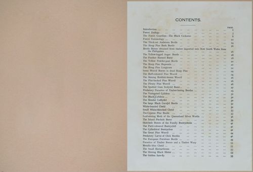 E499 - Forest Insects - 1927 - 20711