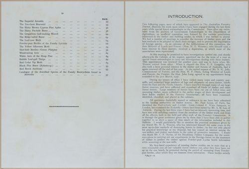 E499 - Forest Insects - 1927 - 20712-20713