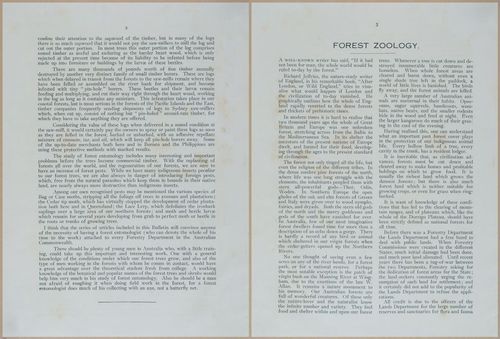 E499 - Forest Insects - 1927 - 20714-20715