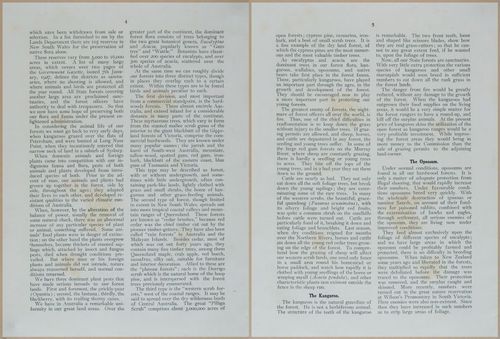 E499 - Forest Insects - 1927 - 20716-20717