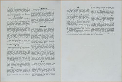 E499 - Forest Insects - 1927 - 20718-20719
