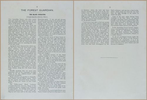 E499 - Forest Insects - 1927 - 20720-20721