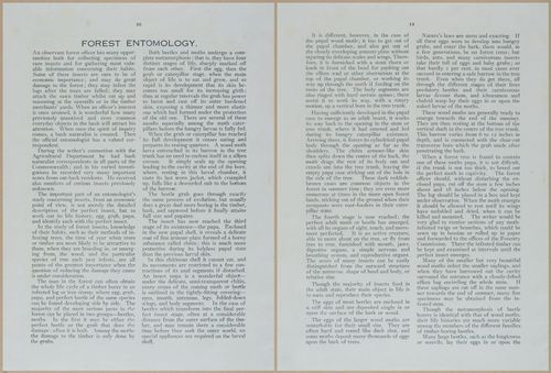 E499 - Forest Insects - 1927 - 20722-20723