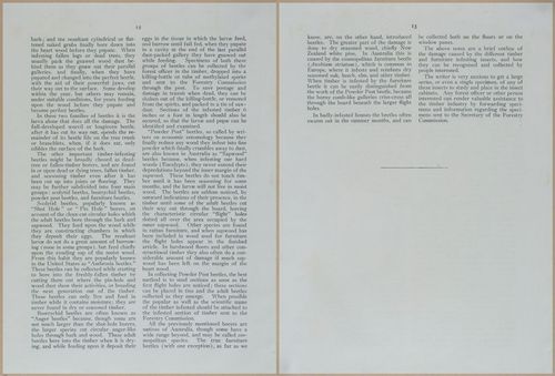 E499 - Forest Insects - 1927 - 20724-20725