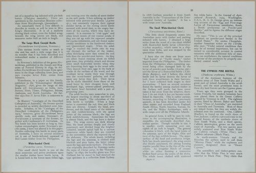 E499 - Forest Insects - 1927 - 20744-20745