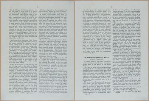 E499 - Forest Insects - 1927 - 20760-20761