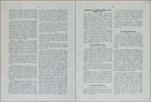 E499 - Forest Insects - 1927 - 20764-20765