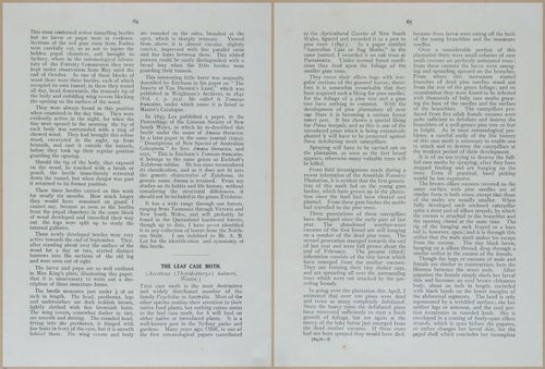 E499 - Forest Insects - 1927 - 20776-20777