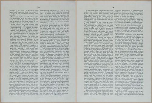 E499 - Forest Insects - 1927 - 20782-20783