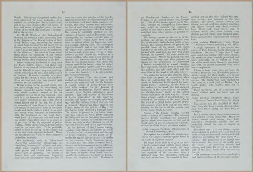 E499 - Forest Insects - 1927 - 20784-20785