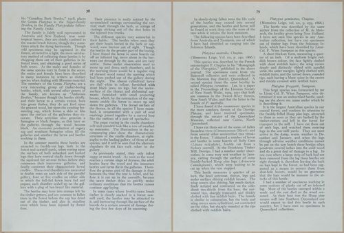 E499 - Forest Insects - 1927 - 20790-20791