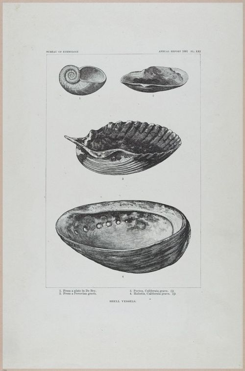 E517 - Bureau of Ethnology - Southwestern US - 1883 - 24338