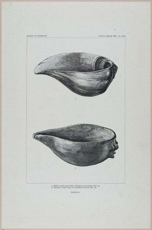 E517 - Bureau of Ethnology - Southwestern US - 1883 - 24339