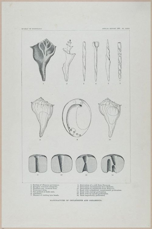 E517 - Bureau of Ethnology - Southwestern US - 1883 - 24346