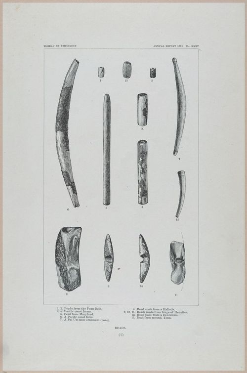 E517 - Bureau of Ethnology - Southwestern US - 1883 - 24352