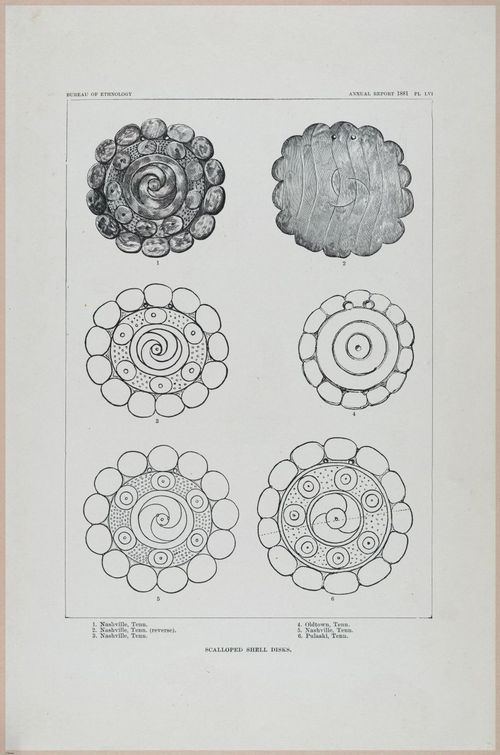 E517 - Bureau of Ethnology - Southwestern US - 1883 - 24373