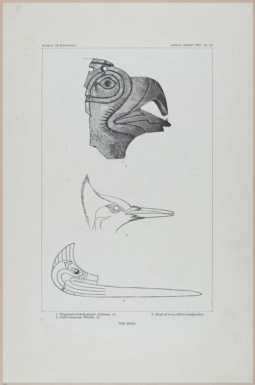 E517 - Bureau of Ethnology - Southwestern US - 1883 - 24377