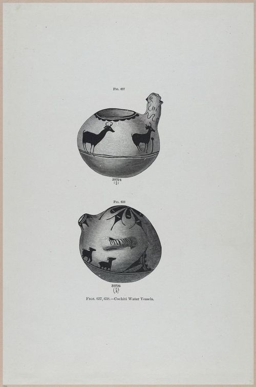 E517 - Bureau of Ethnology - Southwestern US - 1883 - 24473