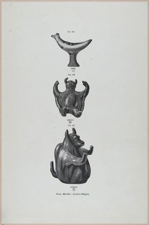 E517 - Bureau of Ethnology - Southwestern US - 1883 - 24477