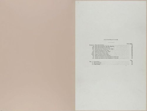 E517 - Bureau of Ethnology - Southwestern US - 1883 - 24317