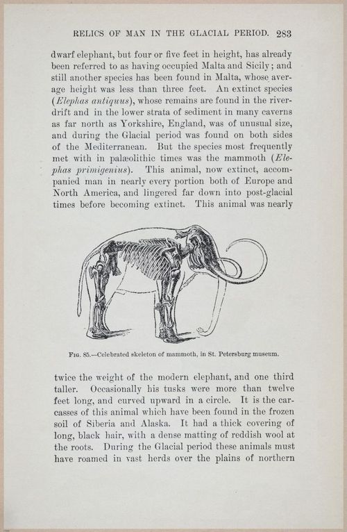 E519 - Man and the Glacial Period - 1892 - 24573