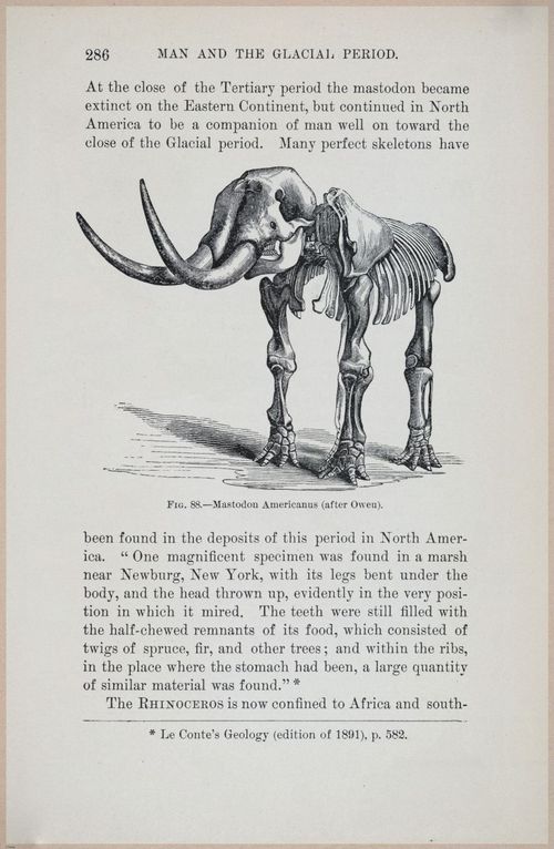 E519 - Man and the Glacial Period - 1892 - 24575