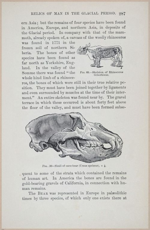 E519 - Man and the Glacial Period - 1892 - 24576