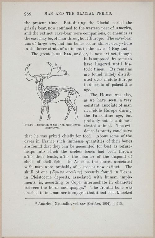 E519 - Man and the Glacial Period - 1892 - 24577