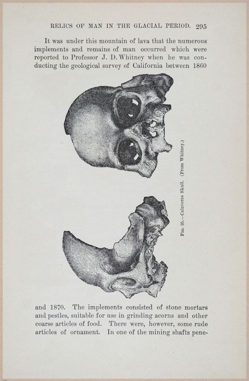 E519 - Man and the Glacial Period - 1892 - 24580