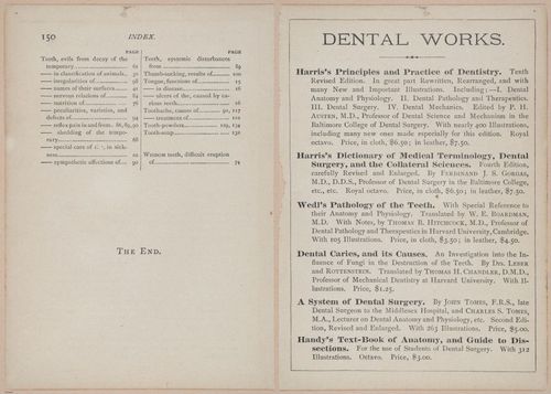 E525 - Teeth - i25216-25217