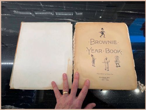 E556 - Brownies - i3618